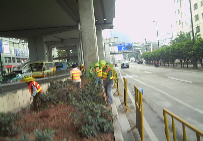 高速公路的植物一般怎么配置