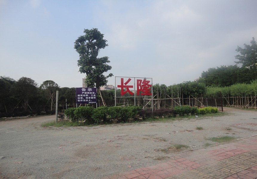 園林公司業務培養目標及要求